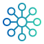 network (1)